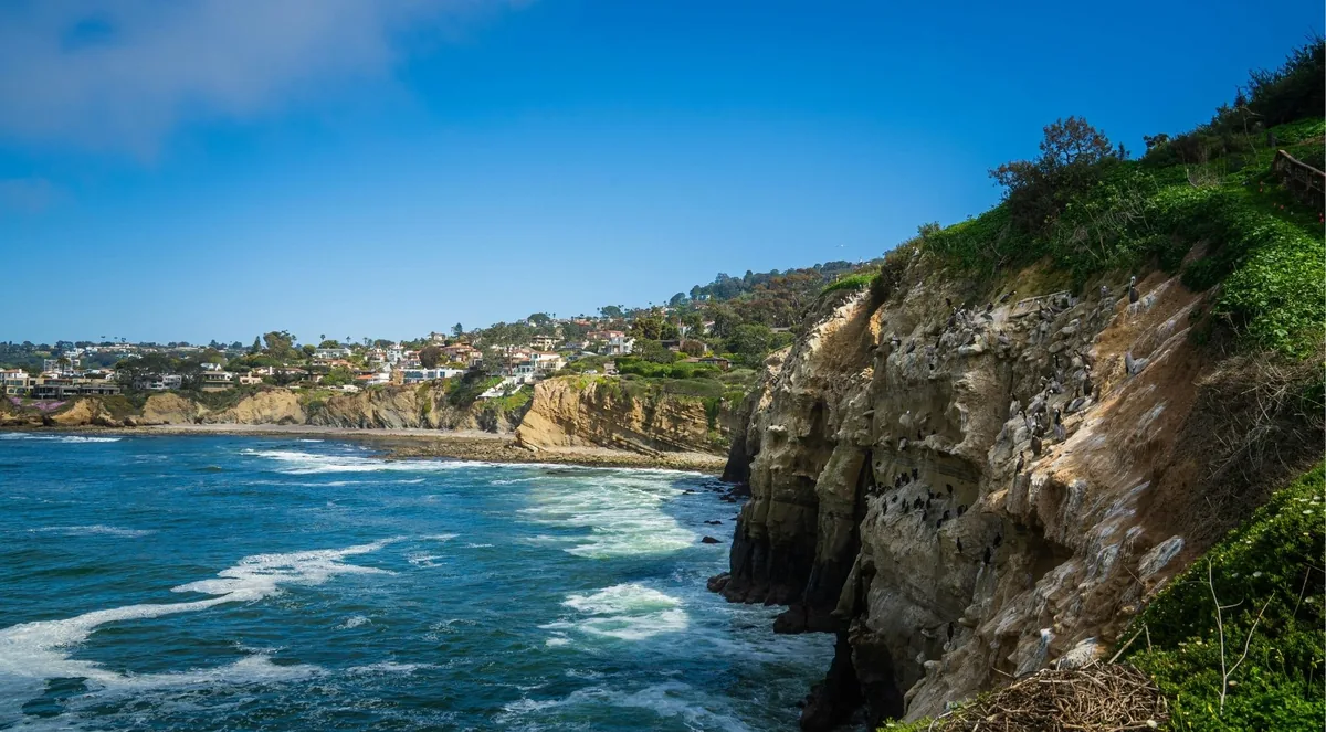 Sandstone cliffs at Goldfish Point with cormorants and pelicans nesting on the ledges, surf below