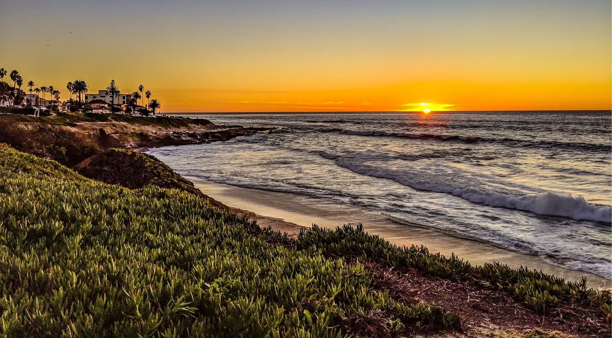 Waves rolling onto a curving beach at sunset with palm trees silhouetted on the point